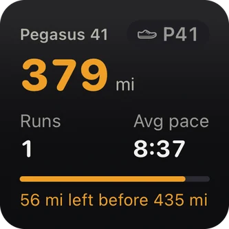 Shoe widget, small: Pegasus 41 at 379 miles